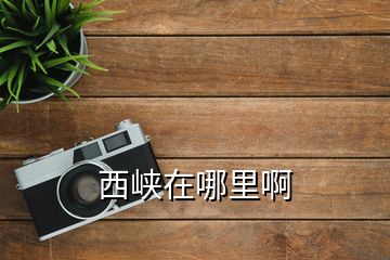 西峽在哪里啊