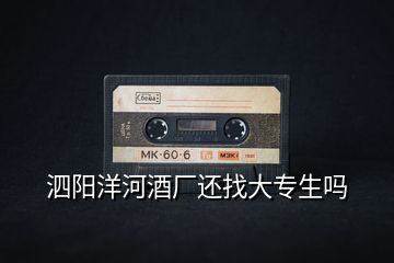 泗陽洋河酒廠還找大專生嗎