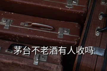 茅臺不老酒有人收嗎