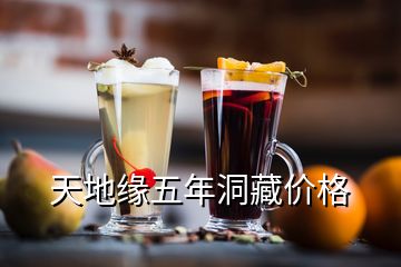 天地緣五年洞藏價格