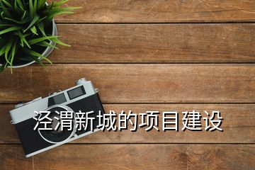 涇渭新城的項(xiàng)目建設(shè)
