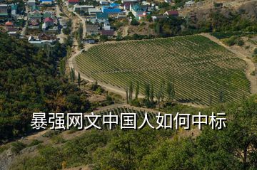 暴強(qiáng)網(wǎng)文中國人如何中標(biāo)
