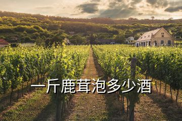 一斤鹿茸泡多少酒
