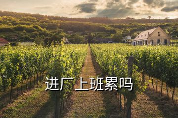 進(jìn)廠上班累嗎
