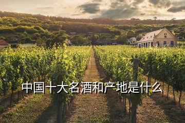中國十大名酒和產(chǎn)地是什么