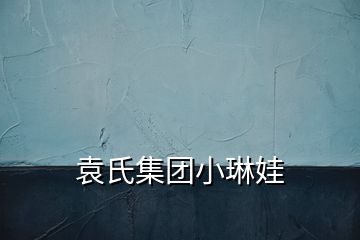 袁氏集團(tuán)小琳娃
