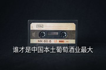 誰(shuí)才是中國(guó)本土葡萄酒業(yè)最大