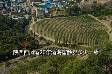 陜西西鳳酒20年酒海窖齡賣多少一瓶