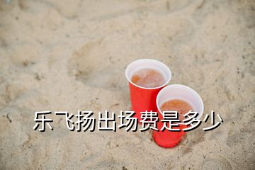 樂飛揚(yáng)出場費(fèi)是多少