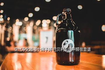 空氣凈化器哪個(gè)牌子好 巴貝利亞除甲醛很靠譜
