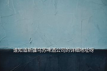 誰知道新疆烏蘇啤酒公司的詳細(xì)地址呀