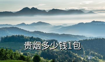 貴煙多少錢(qián)1包