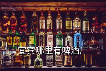 宜賓哪里有啤酒廠