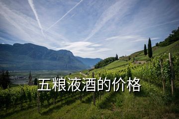 五糧液酒的價格