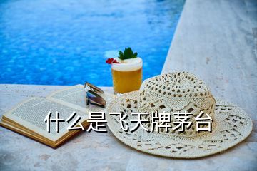什么是飛天牌茅臺(tái)