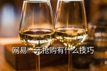 網(wǎng)易一元搶購(gòu)有什么技巧