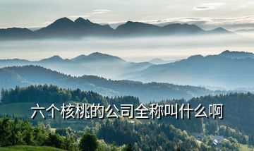 六個(gè)核桃的公司全稱叫什么啊