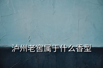 瀘州老窖屬于什么香型
