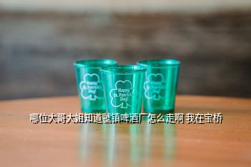 哪位大哥大姐知道虢鎮(zhèn)啤酒廠怎么走啊 我在寶橋