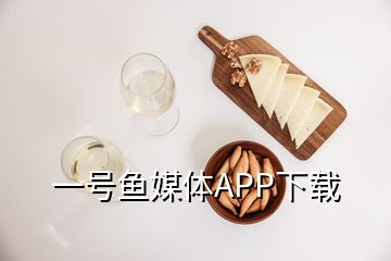 一號(hào)魚(yú)媒體APP下載