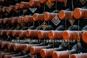 然后充電特別慢已經(jīng)過了一個(gè)星期還沒恢復(fù)正常怎么辦