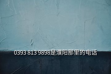 0393 813 9898是濮陽(yáng)那里的電話