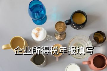企業(yè)所得稅年報(bào)填寫