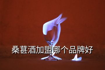 桑葚酒加盟哪個(gè)品牌好