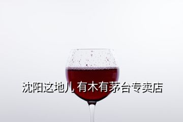 沈陽(yáng)這地兒 有木有茅臺(tái)專賣(mài)店