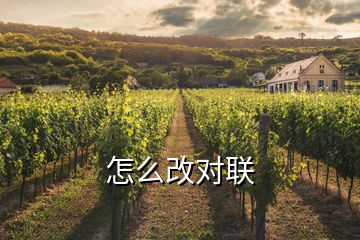 怎么改對(duì)聯(lián)