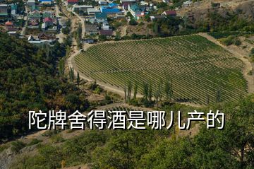 陀牌舍得酒是哪兒產(chǎn)的