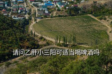請問乙肝小三陽可適當(dāng)喝啤酒嗎