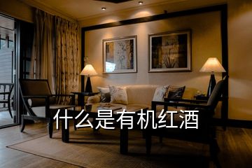 什么是有機紅酒