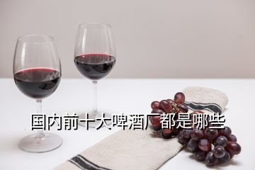 國內(nèi)前十大啤酒廠都是哪些