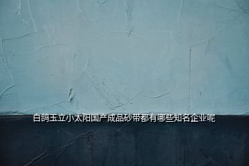 白鴿玉立小太陽國產(chǎn)成品砂帶都有哪些知名企業(yè)呢