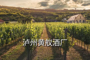 瀘州黃艤酒廠(chǎng)