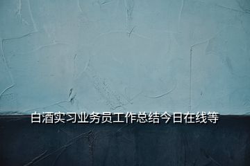 白酒實(shí)習(xí)業(yè)務(wù)員工作總結(jié)今日在線等