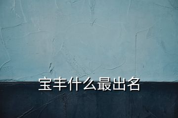 寶豐什么最出名