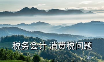稅務(wù)會(huì)計(jì) 消費(fèi)稅問(wèn)題