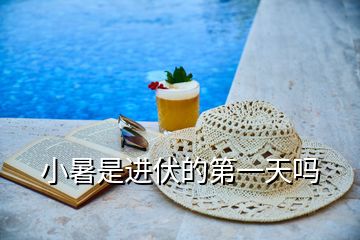 小暑是進(jìn)伏的第一天嗎