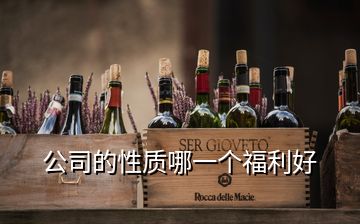 公司的性質(zhì)哪一個福利好