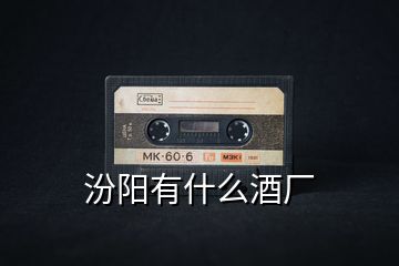 汾陽(yáng)有什么酒廠