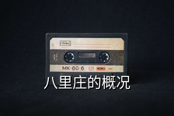 八里莊的概況