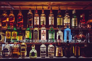 有一個(gè)叫宿遷市洋河鎮(zhèn)國典酒業(yè)有限公司產(chǎn)的藍(lán)之夢(mèng)棉柔型