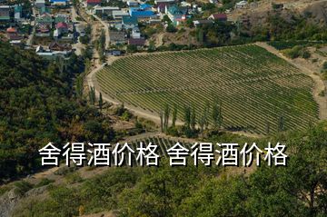 舍得酒價格 舍得酒價格
