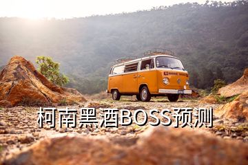 柯南黑酒BOSS預(yù)測