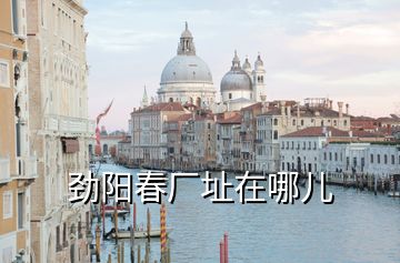 勁陽(yáng)春廠址在哪兒