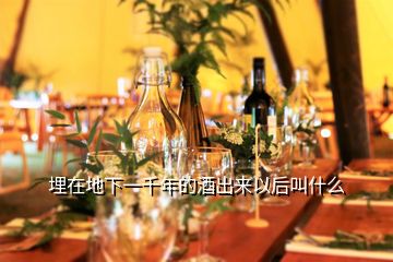 埋在地下一千年的酒出來以后叫什么