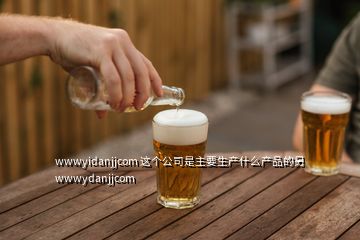 wwwyidanjjcom 這個公司是主要生產什么產品的另wwwydanjjcom