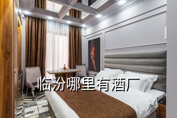 臨汾哪里有酒廠